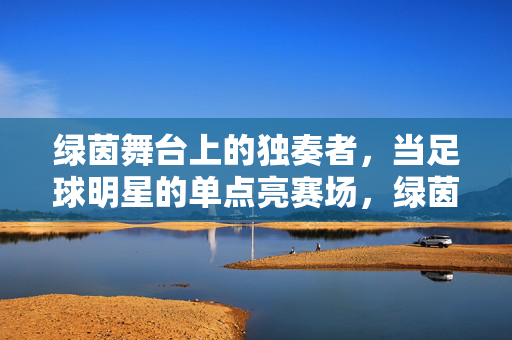 绿茵舞台上的独奏者,当足球明星的单点亮赛场,绿茵独奏者,单点耀赛场