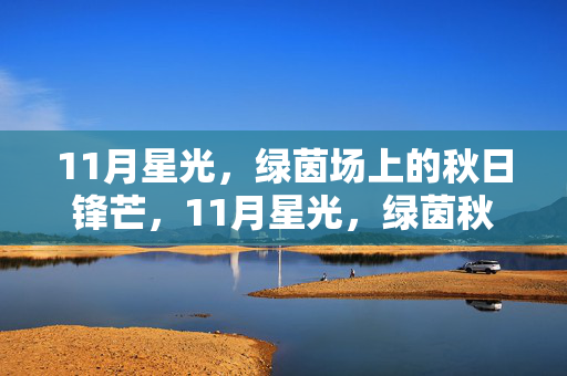 11月星光，绿茵场上的秋日锋芒，11月星光，绿茵秋日锋芒