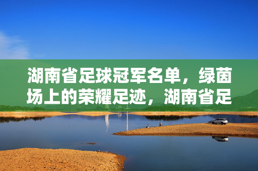 湖南省足球冠军名单,绿茵场上的荣耀足迹,湖南省足球冠军荣耀足迹