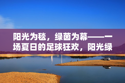 阳光为毯,绿茵为幕——一场夏日的足球狂欢,阳光绿茵夏日足球狂欢