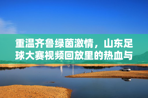 重温齐鲁绿茵激情，山东足球大赛视频回放里的热血与传承，齐鲁绿茵热血传承，山东足球大赛视频回放