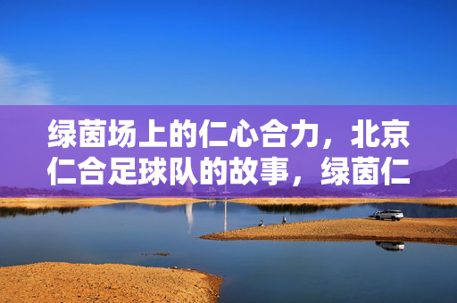 绿茵场上的仁心合力，北京仁合足球队的故事，绿茵仁心合力，北京仁合足球队故事