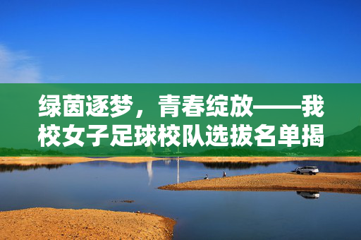 绿茵逐梦,青春绽放——我校女子足球校队选拔名单揭晓,绿茵逐梦,青春绽放——我校女子足球校队选拔名单揭晓