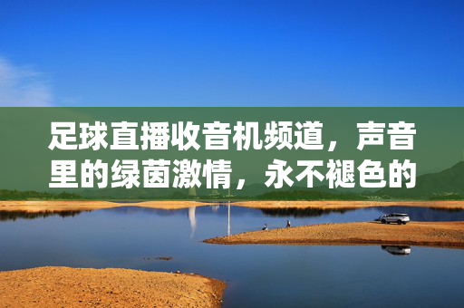 足球直播收音机频道,声音里的绿茵激情,永不褪色的记忆,声忆绿茵,永不褪色的足球激情