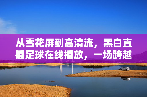 从雪花屏到高清流，黑白直播足球在线播放，一场跨越时空的热血共鸣，从雪花屏到高清流，足球直播跨越时空的热血共鸣