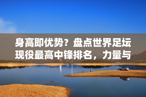 身高即优势?盘点世界足坛现役最高中锋排名,力量与身高的巅峰对决,世界足坛现役最高中锋排名,身高与力量的巅峰对决