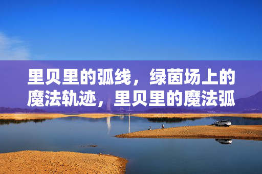 里贝里的弧线，绿茵场上的魔法轨迹，里贝里的魔法弧线，绿茵场的轨迹