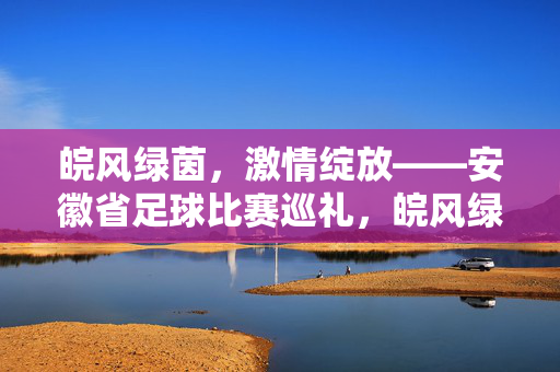 皖风绿茵，激情绽放——安徽省足球比赛巡礼，皖风绿茵，激情绽放——安徽足球赛事巡礼