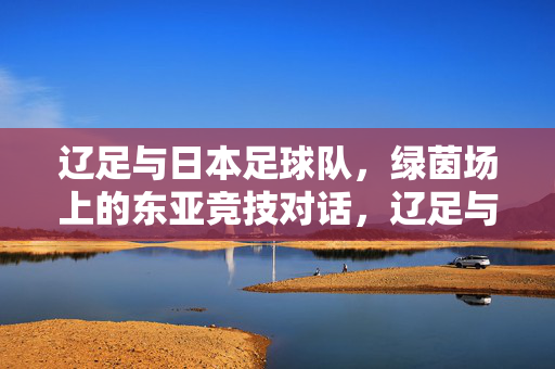 辽足与日本足球队，绿茵场上的东亚竞技对话，辽足与日本队，东亚绿茵竞技对话