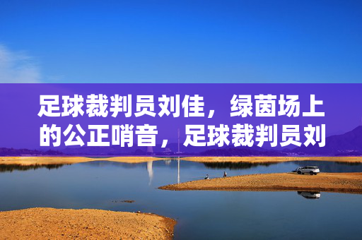 足球裁判员刘佳，绿茵场上的公正哨音，足球裁判员刘佳，绿茵场上的公正哨音