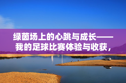 绿茵场上的心跳与成长——我的足球比赛体验与收获,绿茵场上的心跳与成长