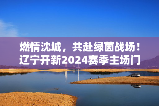 燃情沈城，共赴绿茵战场！辽宁开新2024赛季主场门票全攻略，燃情沈城！辽宁开新2024赛季主场门票全攻略