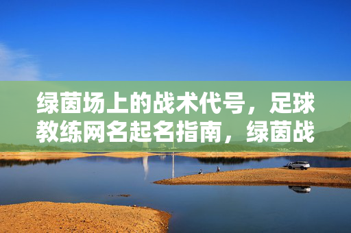 绿茵场上的战术代号，足球教练网名起名指南，绿茵战术代号，足球教练网名起名指南