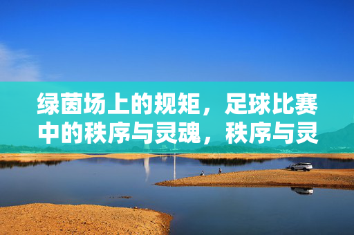 绿茵场上的规矩,足球比赛中的秩序与灵魂,秩序与灵魂,绿茵场上的足球规矩