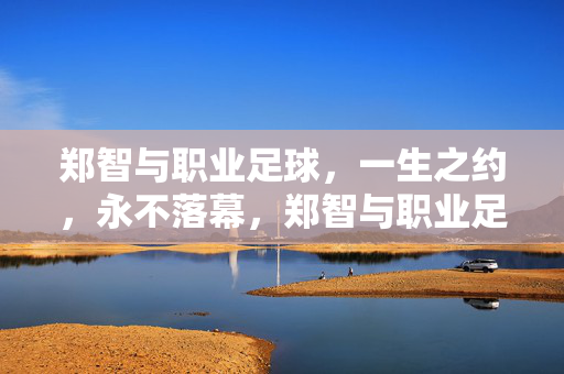 郑智与职业足球，一生之约，永不落幕，郑智与职业足球，一生之约，永不落幕