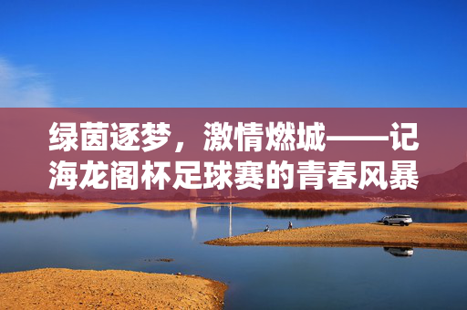 绿茵逐梦，激情燃城——记海龙阁杯足球赛的青春风暴，海龙阁杯，绿茵逐梦，青春燃城