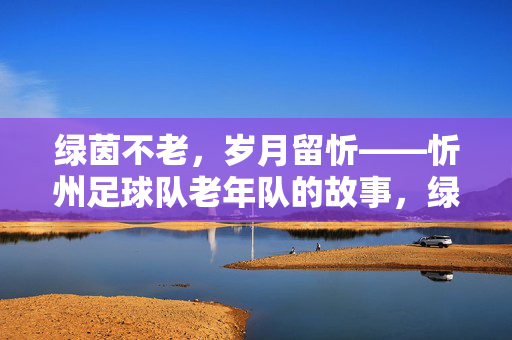 绿茵不老，岁月留忻——忻州足球队老年队的故事，绿茵不老，岁月留忻——忻州老年足球队的故事