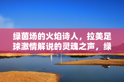 绿茵场的火焰诗人，拉美足球激情解说的灵魂之声，绿茵场的火焰诗人，拉美足球激情解说的灵魂之声