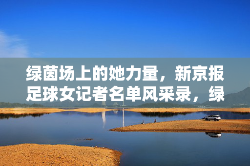 绿茵场上的她力量，新京报足球女记者名单风采录，绿茵场上的她力量，新京报足球女记者风采录