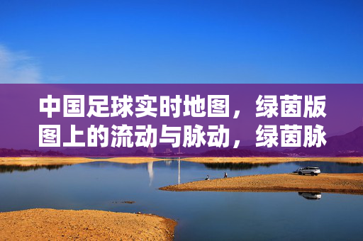中国足球实时地图，绿茵版图上的流动与脉动，绿茵脉动，中国足球实时图景