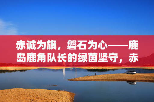 赤诚为旗，磐石为心——鹿岛鹿角队长的绿茵坚守，赤诚为旗，磐石为心——鹿岛鹿角队长的绿茵坚守