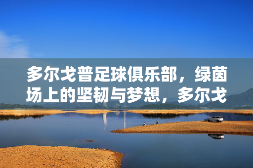 多尔戈普足球俱乐部，绿茵场上的坚韧与梦想，多尔戈普，绿茵场上的坚韧与梦想