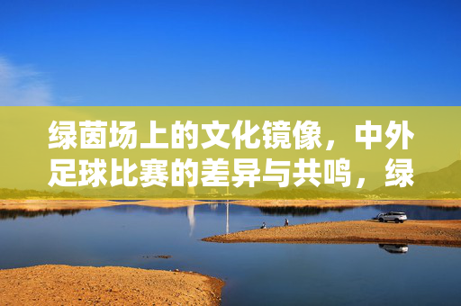 绿茵场上的文化镜像,中外足球比赛的差异与共鸣,绿茵场上的文化镜像,中外足球的差异与共鸣