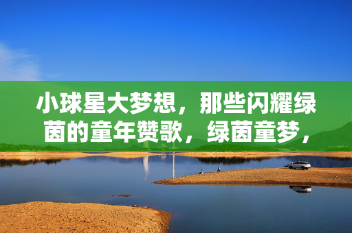 小球星大梦想，那些闪耀绿茵的童年赞歌，绿茵童梦，小球星的大梦想