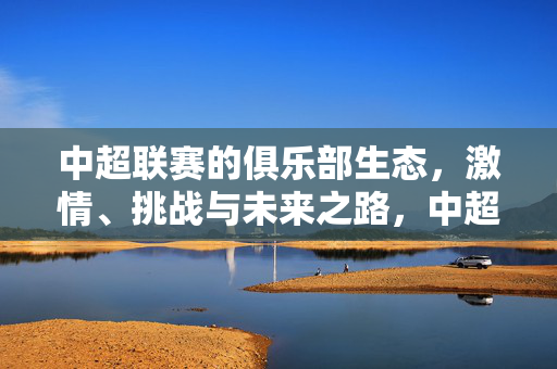 中超联赛的俱乐部生态,激情、挑战与未来之路,中超俱乐部生态,激情、挑战与未来之路