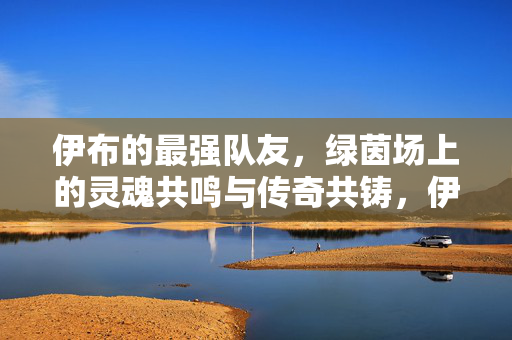伊布的最强队友，绿茵场上的灵魂共鸣与传奇共铸，伊布与最强队友，绿茵灵魂共鸣，共铸传奇