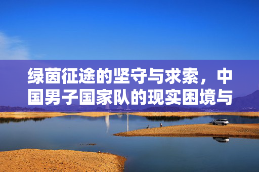 绿茵征途的坚守与求索,中国男子国家队的现实困境与未来展望,绿茵征途的坚守求索,中国男足困境与展望