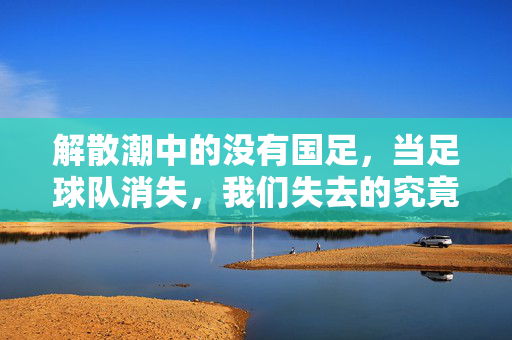 解散潮中的没有国足，当足球队消失，我们失去的究竟是什么？