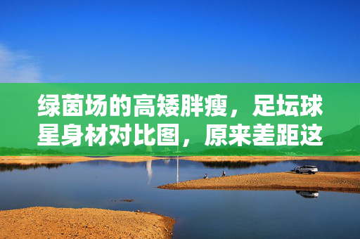 绿茵场的高矮胖瘦,足坛球星身材对比图,原来差距这么大!足坛球星身材对比图,绿茵场高矮胖瘦差距这么大!