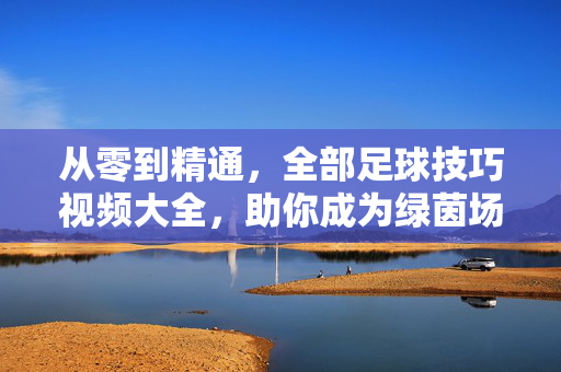 从零到精通，全部足球技巧视频大全，助你成为绿茵场上的魔术师，从零到精通足球技巧大全，绿茵魔术师养成