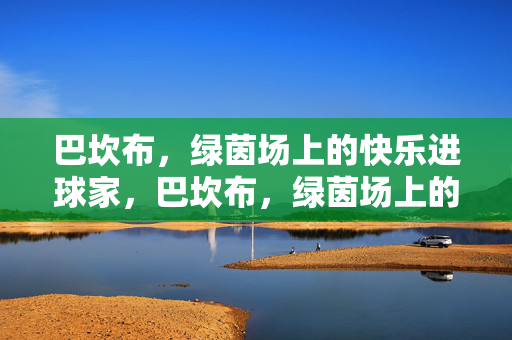 巴坎布，绿茵场上的快乐进球家，巴坎布，绿茵场上的快乐进球家