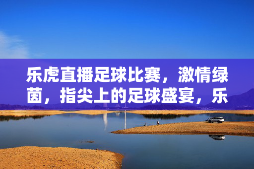 乐虎直播足球比赛，激情绿茵，指尖上的足球盛宴，乐虎直播，指尖上的足球盛宴