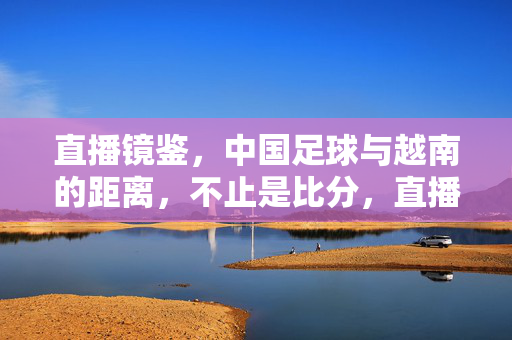 直播镜鉴，中国足球与越南的距离，不止是比分，直播镜鉴，中国足球与越南的差距，不止比分