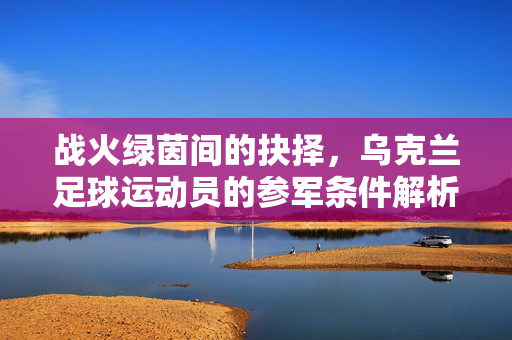 战火绿茵间的抉择,乌克兰足球运动员的参军条件解析,战火绿茵间的抉择,乌克兰足球运动员参军条件解析