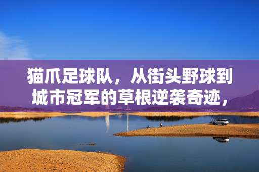 猫爪足球队，从街头野球到城市冠军的草根逆袭奇迹，猫爪足球队，草根逆袭，街头野球终成城市冠军