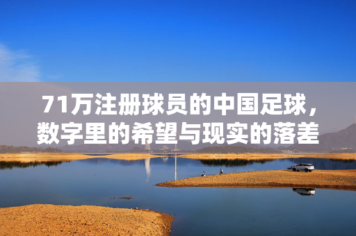 71万注册球员的中国足球，数字里的希望与现实的落差，71万注册球员，中国足球数字里的希望与现实落差