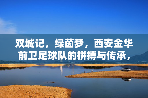 双城记，绿茵梦，西安金华前卫足球队的拼搏与传承，双城记·绿茵梦，西安金华前卫足球队的拼搏与传承