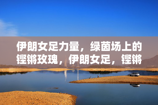 伊朗女足力量,绿茵场上的铿锵玫瑰,伊朗女足,铿锵玫瑰,绿茵力量