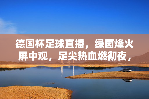 德国杯足球直播，绿茵烽火屏中观，足尖热血燃彻夜，德国杯直播，绿茵烽火屏中观，足尖热血彻夜燃