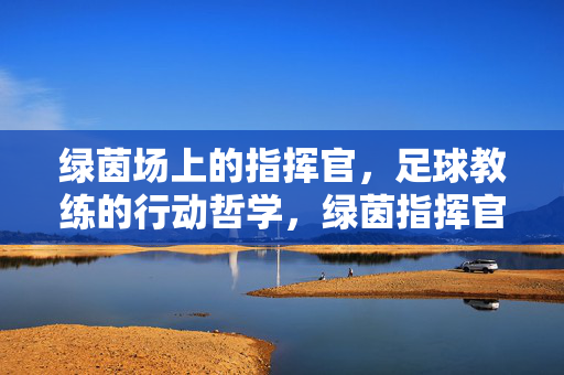 绿茵场上的指挥官，足球教练的行动哲学，绿茵指挥官，足球教练的行动哲学