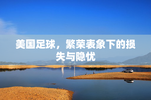 美国足球，繁荣表象下的损失与隐忧