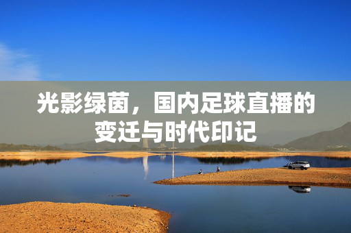 光影绿茵，国内足球直播的变迁与时代印记