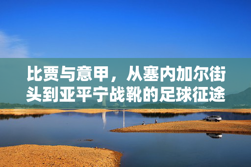 比贾与意甲，从塞内加尔街头到亚平宁战靴的足球征途