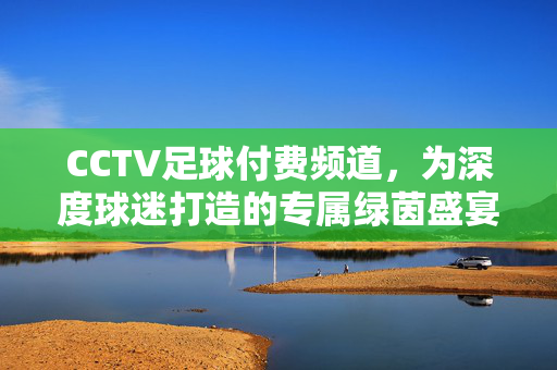 CCTV足球付费频道，为深度球迷打造的专属绿茵盛宴，CCTV足球付费频道，深度球迷专属绿茵盛宴