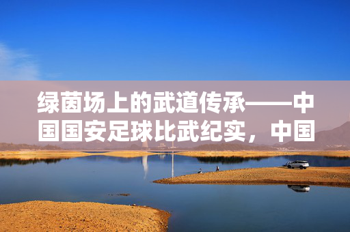 绿茵场上的武道传承——中国国安足球比武纪实，中国国安足球，绿茵武道传承纪实