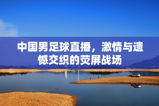 中国男足球直播，激情与遗憾交织的荧屏战场